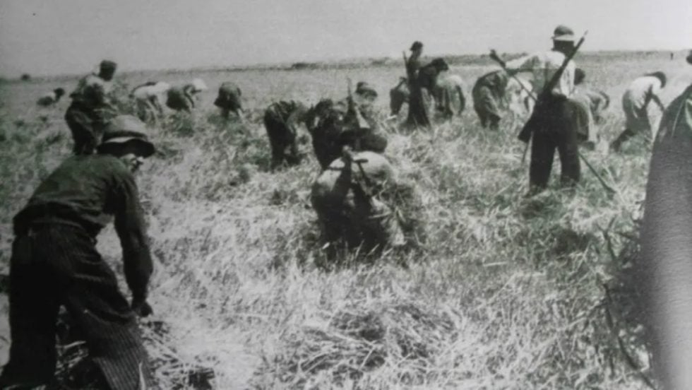 «Μάχη της σοδειάς»